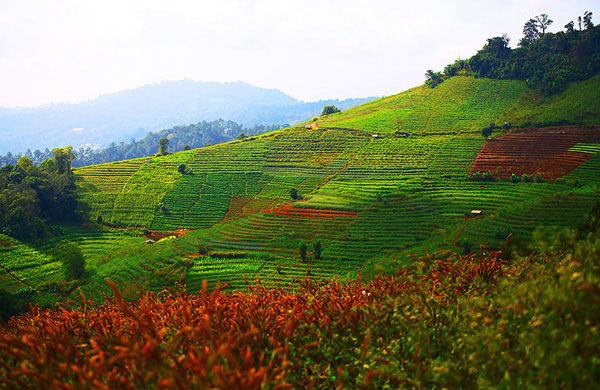 ดอยม่อนแจ่ม