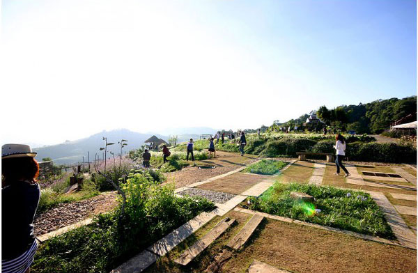 ดอยม่อนแจ่ม