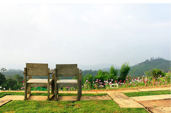 ดอยม่อนแจ่ม