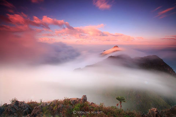 ดอยเชียงดาว (ดอยหลวงเชียงดาว)