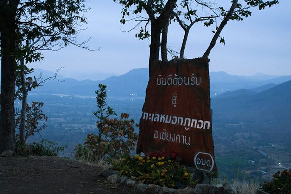 ทะเลหมอกภูทอก เชียงคาน