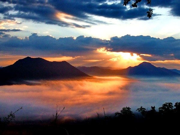 ทะเลหมอกภูทอก เชียงคาน