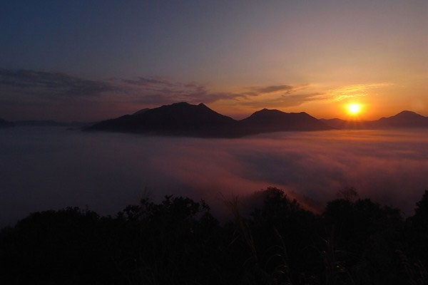 ทะเลหมอกภูทอก เชียงคาน