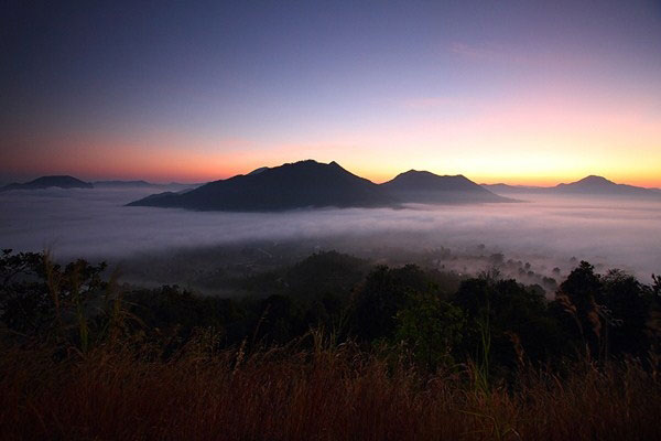 ทะเลหมอกภูทอก เชียงคาน