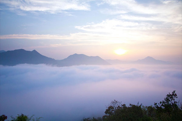 ทะเลหมอกภูทอก เชียงคาน