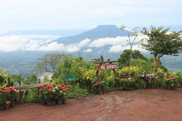 เที่ยวในไทย หน้าหนาวนี้ ไปไหนดี?