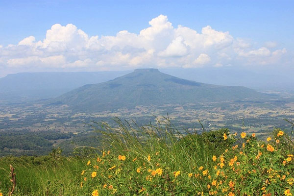 เที่ยวในไทย หน้าหนาวนี้ ไปไหนดี?