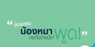 ขับรถ ชนน้องหมา ประกันจ่ายมั๊ย!?