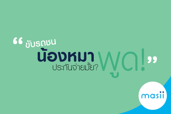 ขับรถ ชนน้องหมา ประกันจ่ายมั๊ย!? ขับรถ ชนน้องหมา ประกันจ่ายมั๊ย!?