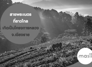 ด้วยสายพระเนตรที่ยาวไกลจนเกิดเป็นโครงการหลวง จ.เชียงราย