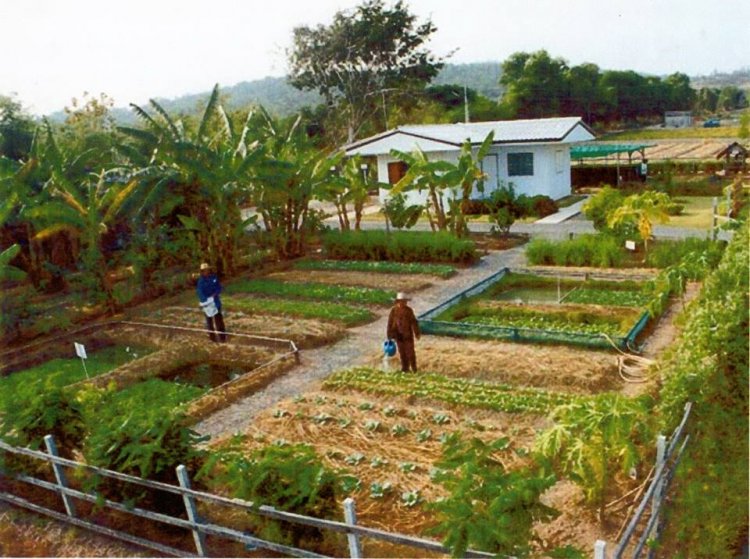 เศรษฐกิจพอเพียง