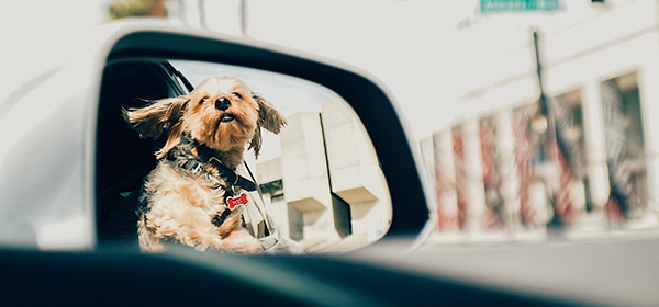 ลักษณะการขับรถของกรุ๊ปบี