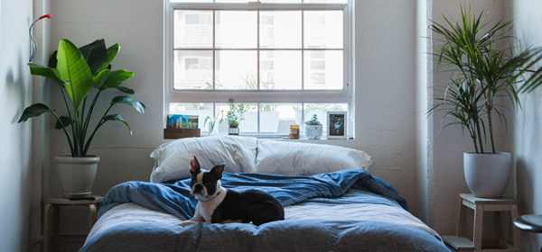 บ้าน คอนโด ห้องนอน