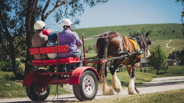 ฟาร์มสเตย์ที่น่าเข้าพัก