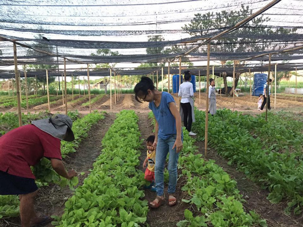 ฟาร์มสเตย์ที่น่าพัก