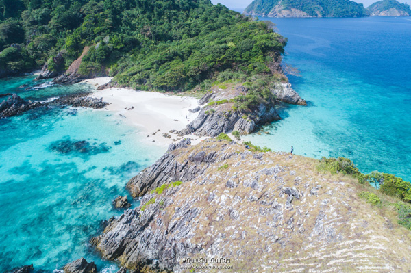 cock burn พม่า