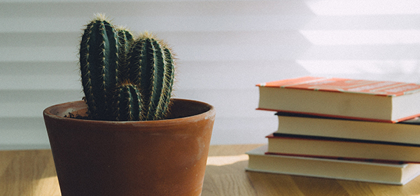 ต้นไม้มีหนาม และต้นไม้ที่แห้งตาย