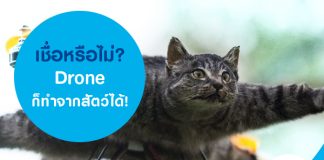 เชื่อหรือไม่เชื่อหรือไม่? Drone ก็ทำจากสัตว์ได้