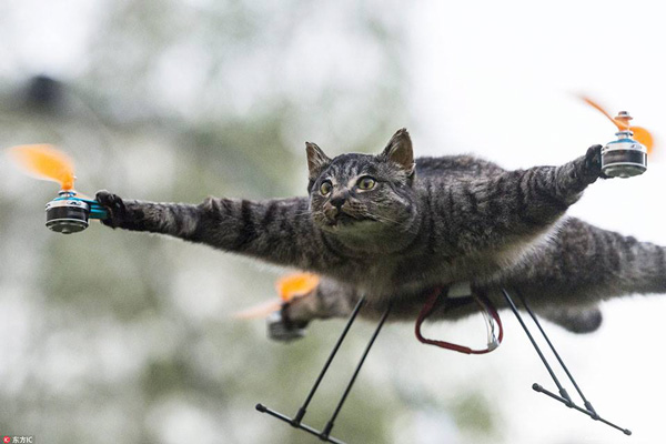 เชื่อหรือไม่เชื่อหรือไม่? Drone ก็ทำจากสัตว์ได้