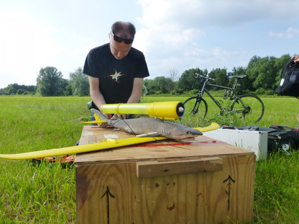 เชื่อหรือไม่เชื่อหรือไม่? Drone ก็ทำจากสัตว์ได้