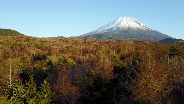 เอาโดรนไปญี่ปุ่นต้องทำยังไง?