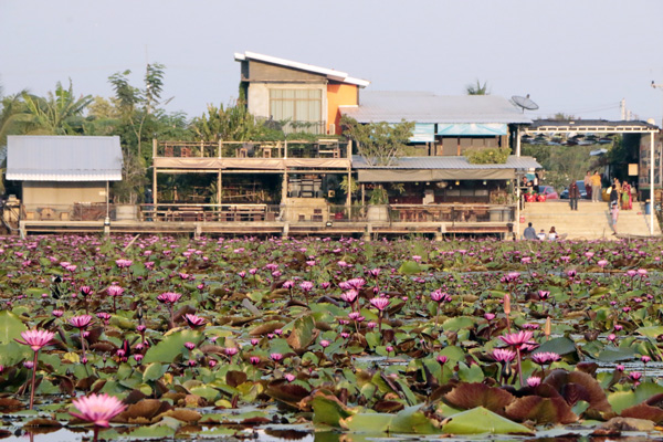 ตลาดน้ำทุ่งบัวแดง ที่เที่ยวใหม่สุดฮิต