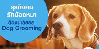 ธุรกิจคนรักน้องหมาต้องนี่เล้ยยย! Dog Grooming