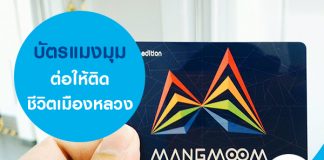 บัตรแมงมุม ต่อให้ติด ชีวิตเมืองหลวง