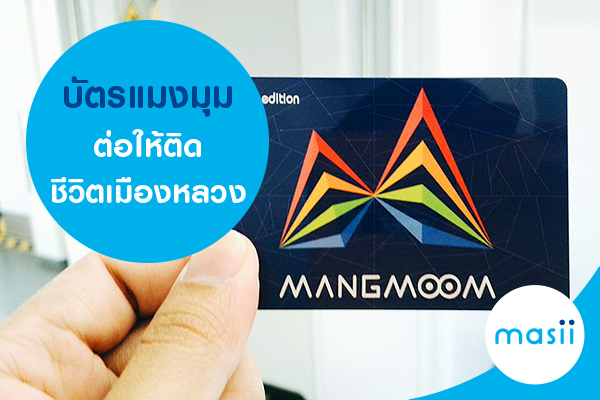 บัตรแมงมุม ต่อให้ติด ชีวิตเมืองหลวง บัตรแมงมุม ต่อให้ติด ชีวิตเมืองหลวง