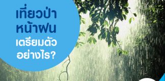 เที่ยวป่าหน้าฝน เตรียมตัวอย่างไร?