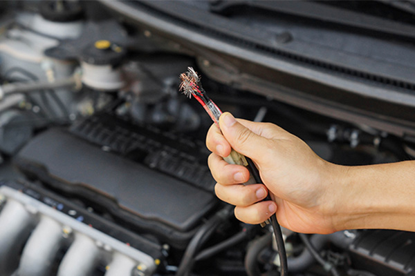 หนูกัดสายไฟรถยนต์ เคลมประกันรถยนต์ชั้น 1 ได้หรือไม่