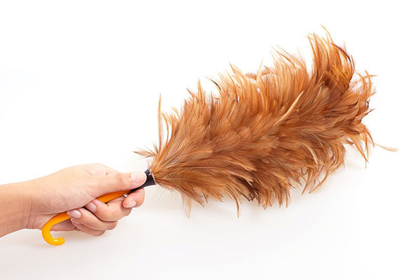 ไม้ปัดขนไก่