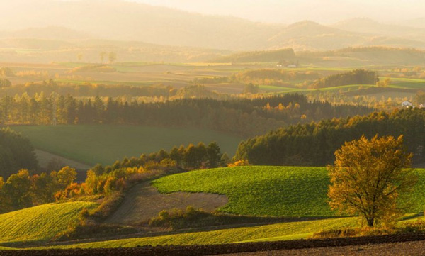 เที่ยวญี่ปุ่นเมืองไหน ประหยัดงบแถมกระเป๋าไม่ฉีก!!