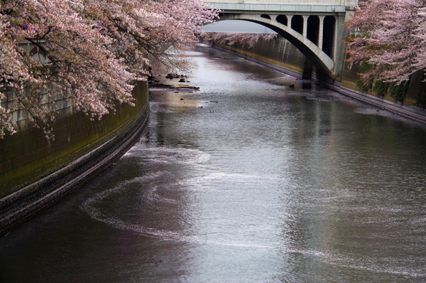 1. Minamioguni-cho (มินามิโอกูนิ)