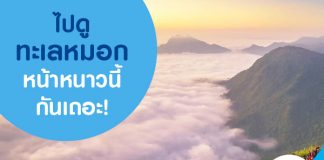 ไปดูทะเลหมอกหน้าหนาวนี้กันเถอะ!