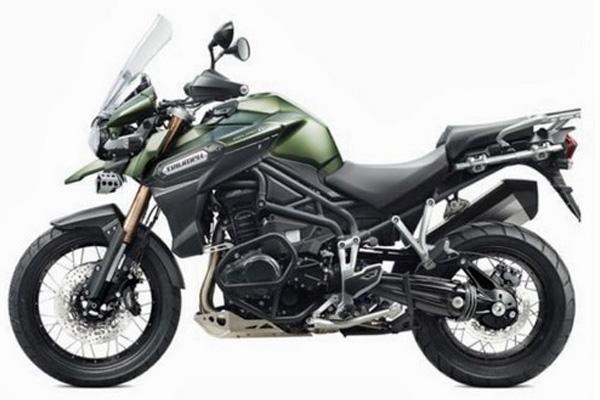 Ultra Rare Porcupine