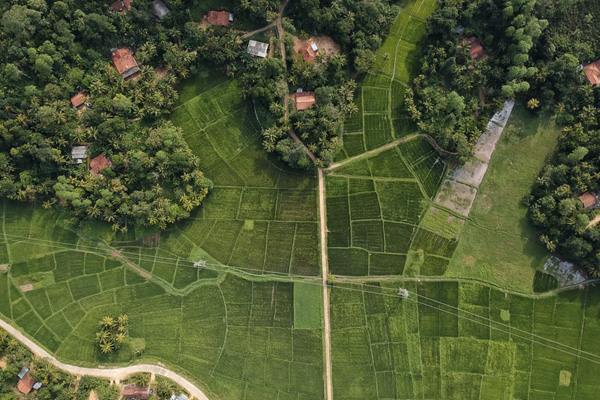 โดรนถ่ายภาพไฟล์ RAW กับ JPEG ต่างกันยังไง?