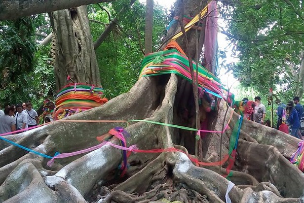 สถานที่ศักดิ์สิทธิ์คำชะโนดดินแดนพญานาค