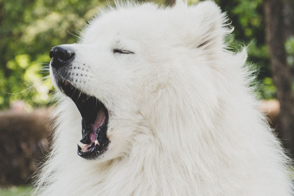 เตรียมเหล่าของขวัญตอนปีใหม่ 2019