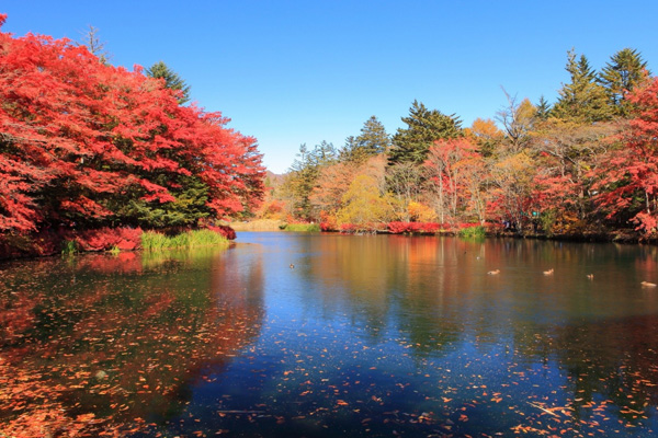 คารุอิซาวา