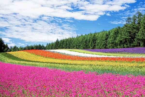 ฮอกไกโด