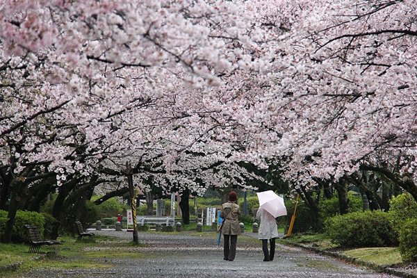 ฟุกุโอกะ