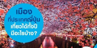 เมืองที่ประเทศญี่ปุ่นเที่ยวได้ทั้งปี มีอะไรบ้าง?