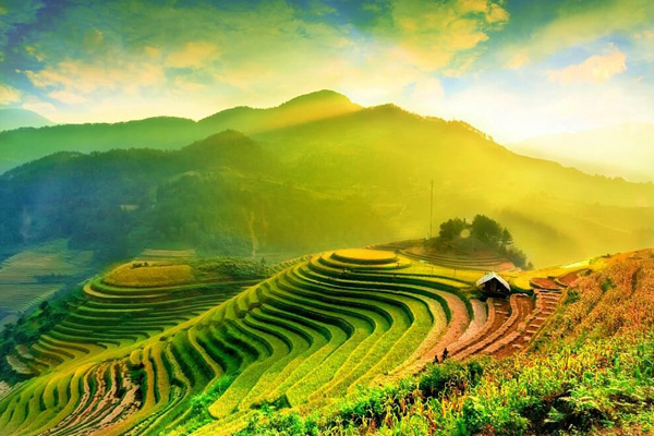 เวียดนาม