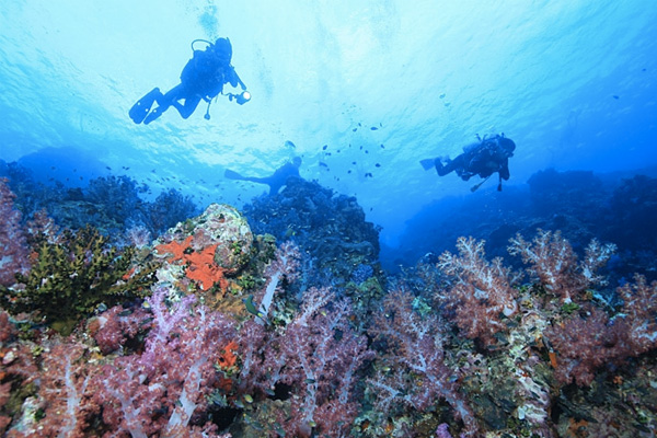 หมู่เกาะสุรินทร์ จังหวัด พังงา