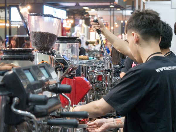 ความรู้จากกูรูด้านธุรกิจกาแฟ ในงาน Thailand Coffee Fest 2019