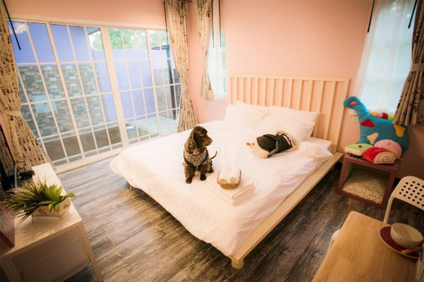 บ้านขนมปังขิง-จังหวัดนครนายก