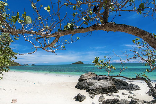 เกาะแสมสาร