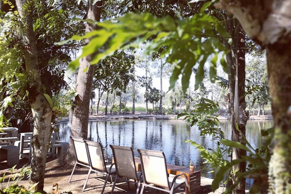 ร้าน Tree Shade