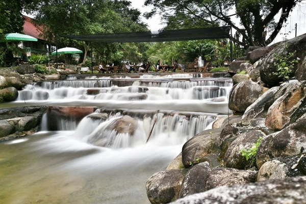 ร้าน ปางแฟน Back To Basic